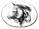 Ram and one-horned goat united, symbolising the Persian and Macedonian kingdoms - A gem in the Florentine collection, perhaps carved for Alexander the Great.